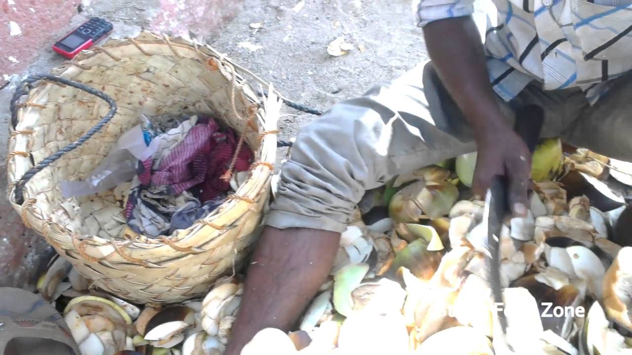 Ice Apple | Taati Munjulu | Summer Fruit | Indian Healty Street Food | Street Food Zone