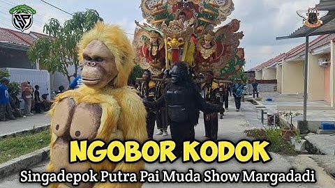 NGOBOR KODOK - TASNI | PUTRA PAI MUDA - show MARGADADI - Indramayu