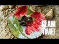 Easy Seashell Craft You Need To Try!
