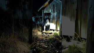 What Emerges From The Shadows Tonight?