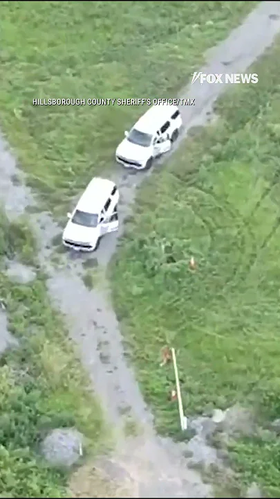 WATCH: FL robbery suspect spotted trying to hide under sewer grate by drone camera #shorts #usa