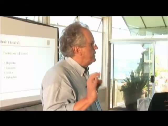 David Smith, MD - Unchain Your Brain
