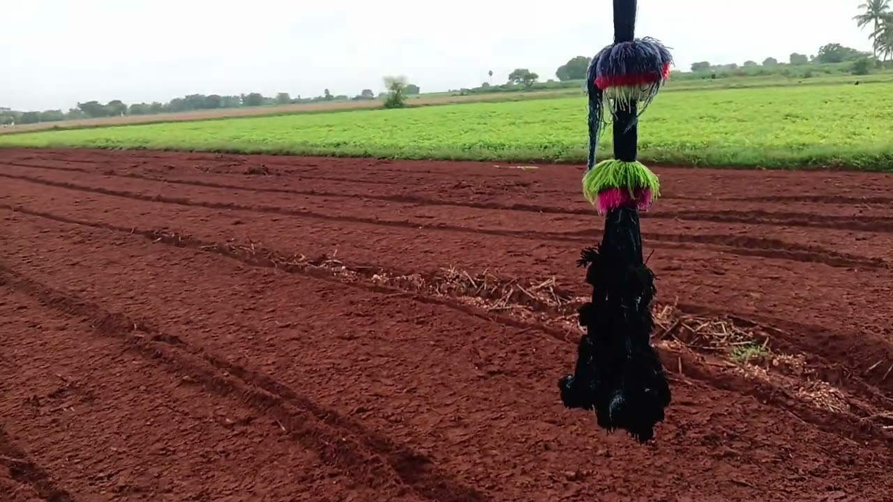 Powertrac 439 RDX gomathi 36 blade rotavator filed performance 