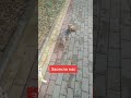 Засекли нас Засекли нас