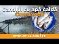 18 ore la Canalul cu apa calda de la Cernavoda - pescuit de noapte!