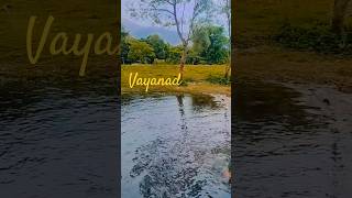 വയനാട് #youtubeshort #trendingshorts #travel