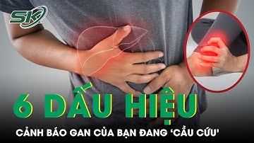 Cảnh Báo 6 Dấu Hiệu Gan Của Bạn Đang ‘Cầu Cứu’ | SKĐS