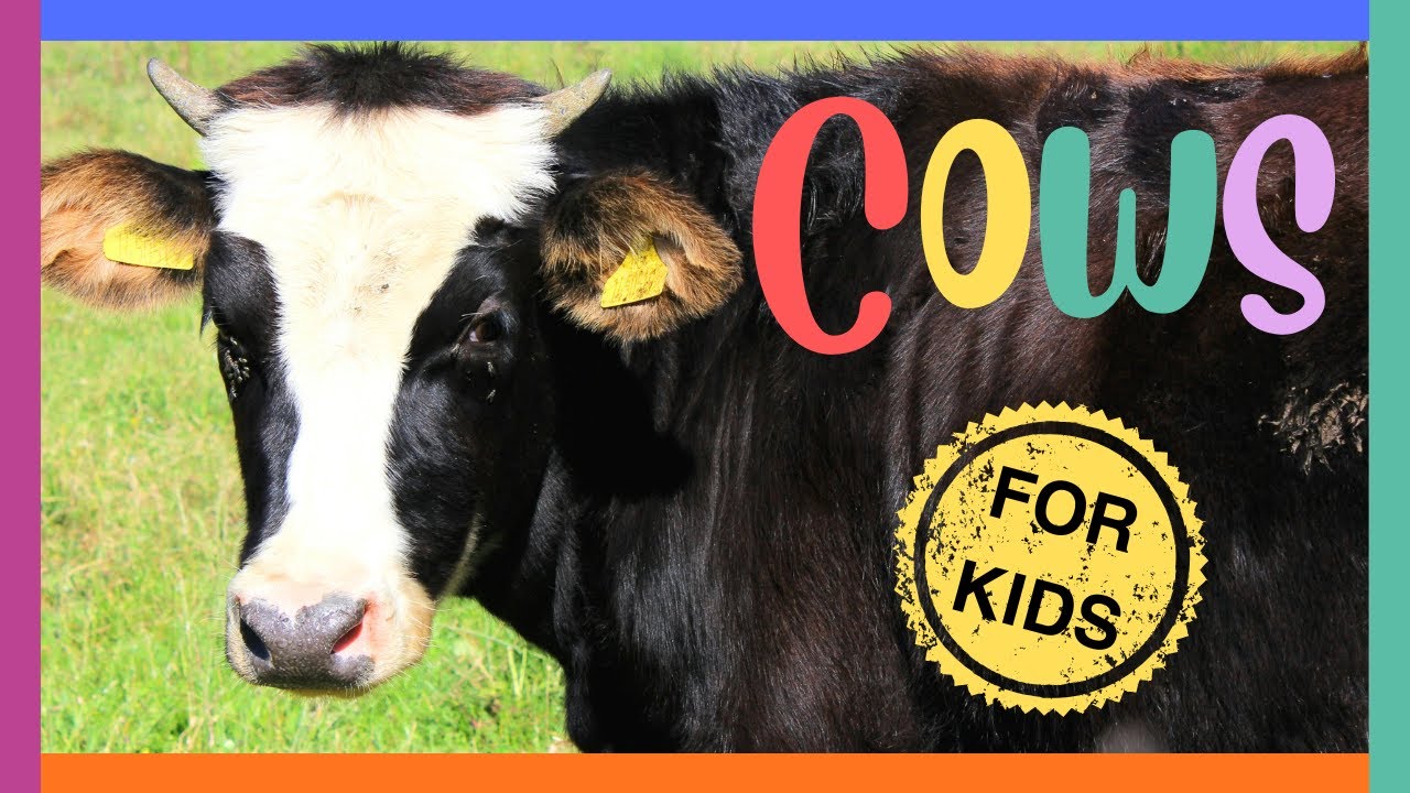 Коровы и сельскохозяйственные животные для детей🐄 Коровы, овцы и куры для малышей🐏 Образовательно...