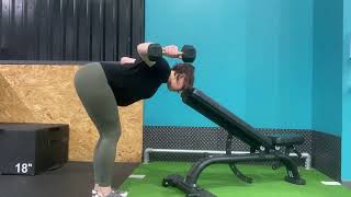 Head Supported Dumbbell Rear Delt Flyes