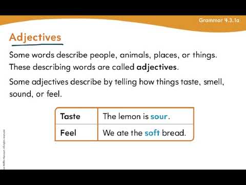 1st Grade: Grammar Adjectives - YouTube