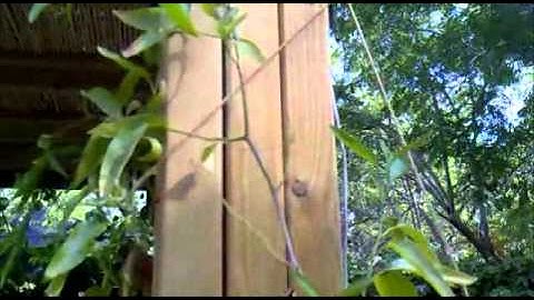 MSP430 3 parts solar powered thermometer