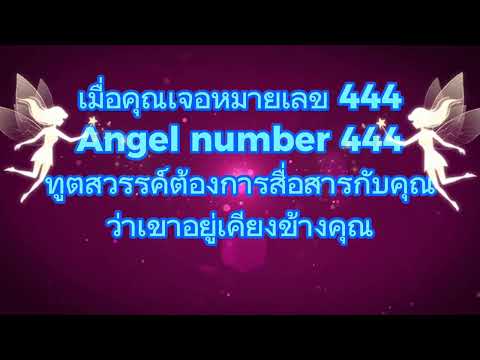 Angel number444 #ทูตสวรรค์ต้องการสื่อสารกับคุณ #สาร์จากจักรวาล