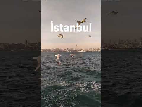 Ah İstanbul #music #whatsappstatus #azerbaycan #turkey #piano #istanbul #ahistanbul #baku #shorts