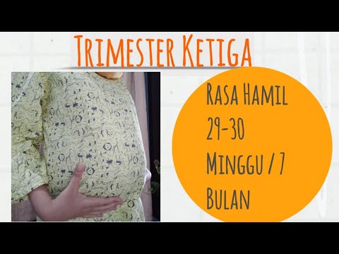 Video: 29 Minggu Hamil: Gejala, Kiat, Dan Banyak Lagi