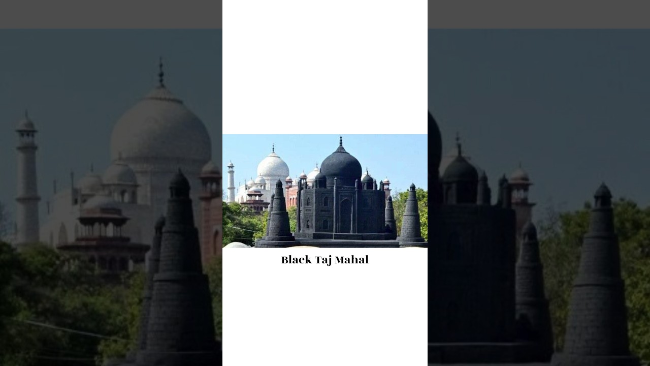 Black Taj Mahal- Truth or Myth?                        #youtubeshorts #shorts #shortsfeed #minivlog