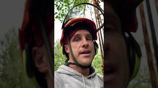 How To Stop Aphids In Your Trees