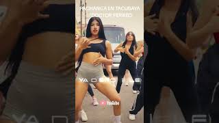 "PACHANGA EN TACUBAYA" 💪😎 DISPONIBLE EN TODOS LADOS LOS QUIERE EL #drperreo