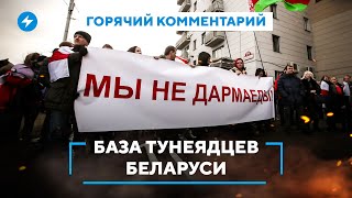 Сколько платят “дармоеды” / Обновление базы тунеядцев / Как подтвердить занятость в Беларуси