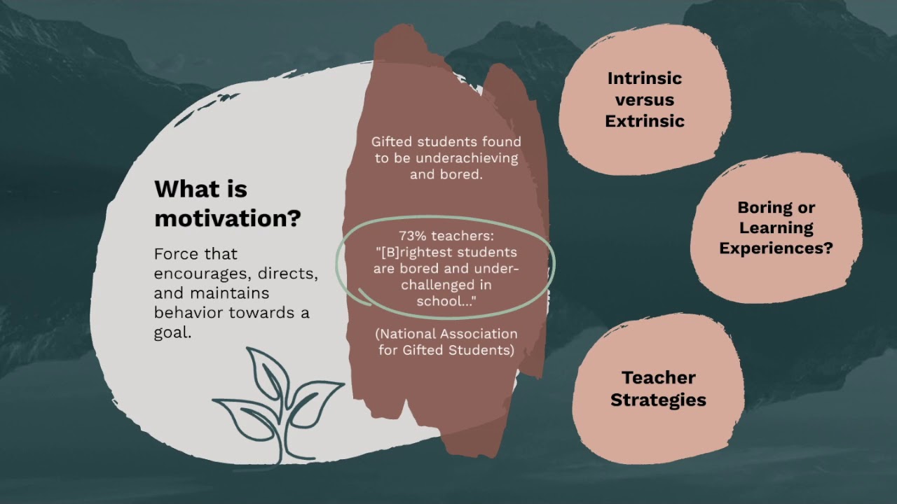 Enriched Education for All: Attending to the Needs of Gifted Students