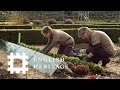 Walmer Castle Kitchen Garden: From Plot to Plate