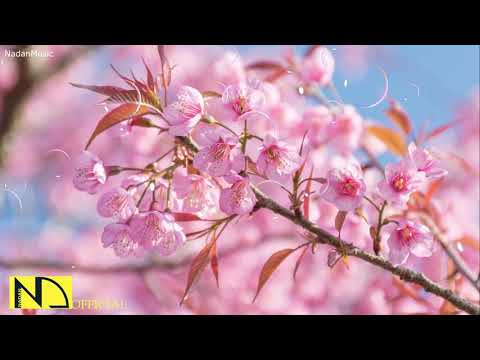 10 Hours of Relaxing Music • Sleep Music, Soothing Piano Music, Sleeping Music
