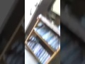 Lũ mèo giật mình vì trò đùa của con chó