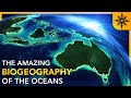 The Biogeography of the Oceans