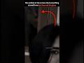 Horror Stories In Hindi | Khooni Monday Horror Story | Horror Short Video | Paranormal 😰| #horror