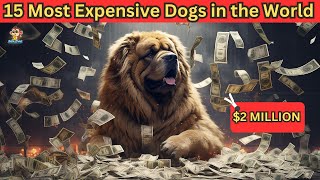 15 Most Expensive Dogs in the World