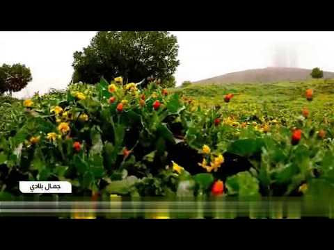 المنطقة الأثرية في سدراتة     