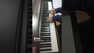 Paul Machlis - Nightblossom - ( Piano Cover )#shorts