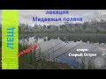 Русская рыбалка 4 - озеро Старый Острог - Раздача леща