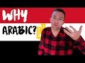 WHY LEARN EGYPTIAN ARABIC |  Reasons to study the language | CAIRO VLOG 14 | مصر