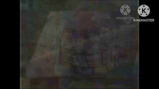 IMG 1230 VIDEO