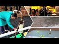 BORE WELL RECHARGING | RAINWATER HARVESTING FOR TUBE WELL | RAJENDRA KALBAVI