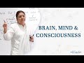 Brain mind and consciousness  sri guru