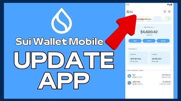 How to Update Sui Wallet App 2024?