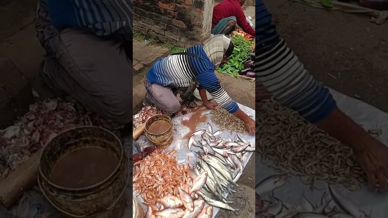Amazing River Fish Selling Technique In West Bengal🐠