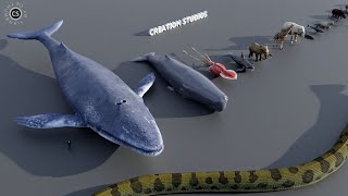 Animal Size in perspective | 3d Animation Comparison
