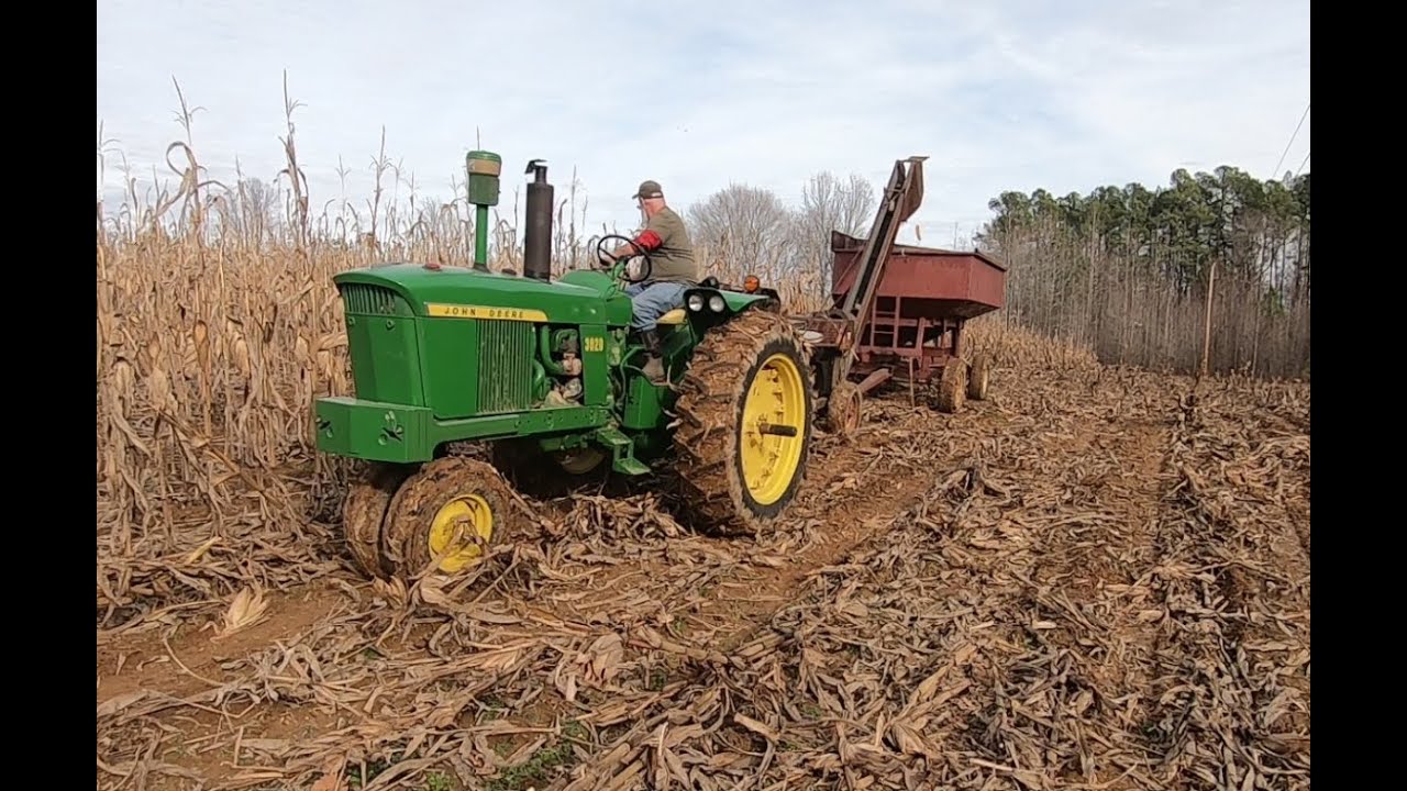 Christmas Eve Corn Picking