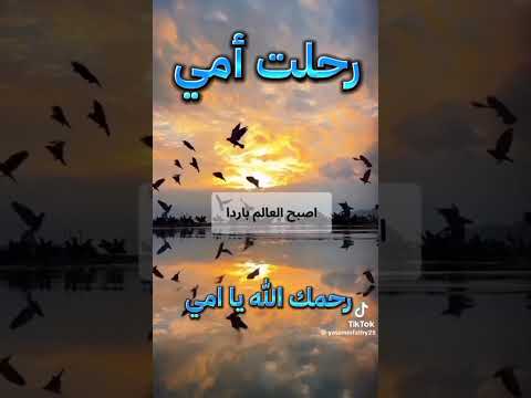 رحمك الله يا امي كل يوم أعيشه فقط لأدعي معك وهذا الشيء الوحيد الي يعطيني الصبر والقوه في هذه الدنيا