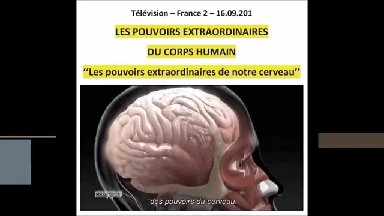 Les Pouvoirs Extraordinaires Du Corps Humain Le Cerveau