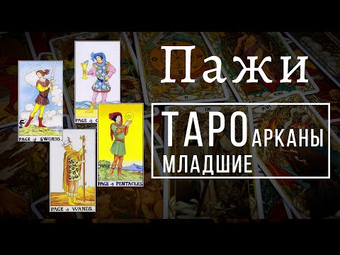 ПАЖИ | Значения МЛАДШИХ арканов | Школа Таро пана Романа 2021