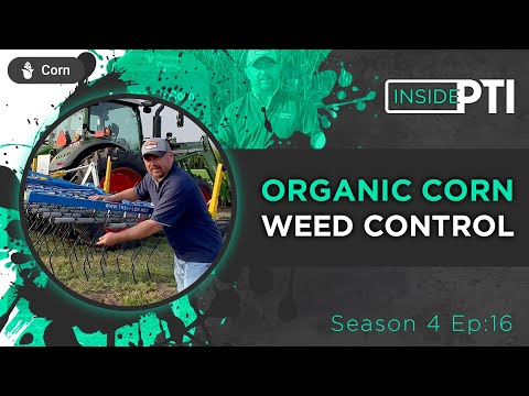 InsidePTI S4•E16 | Organic Corn Weed Control ‣ Corn