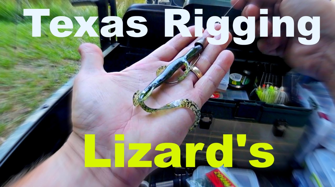 How To Texas Rig a Lizard 