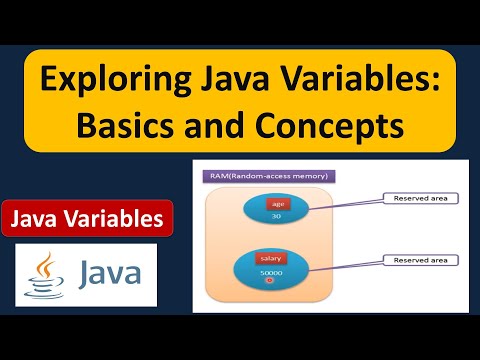 Exploring Java Variables: Basics and Concepts | Java Tutorial