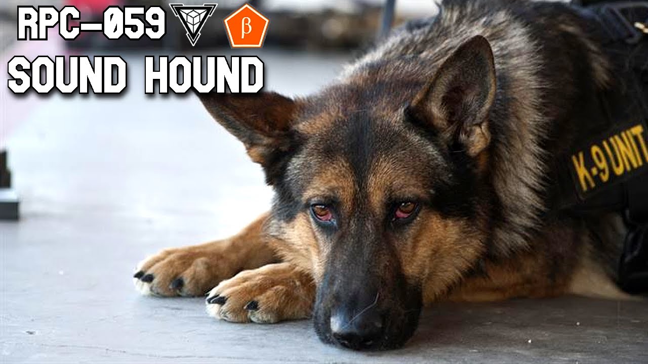 RPC-059 Sound Hound - The Super-Hearing Sound Hound: Can Anything ...