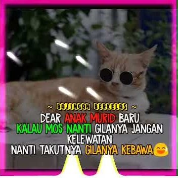 STORY WA KEREN | QUOTES KEKINIAN | VIDEO AVEE PLAYER 30 DETIK | TERBARU 2019