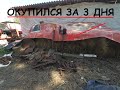 УДАЧНЫЙ КОП НА СТАРОЙ ПИЛОРАМЕ! МД-4080 Окупился за 3 дня!