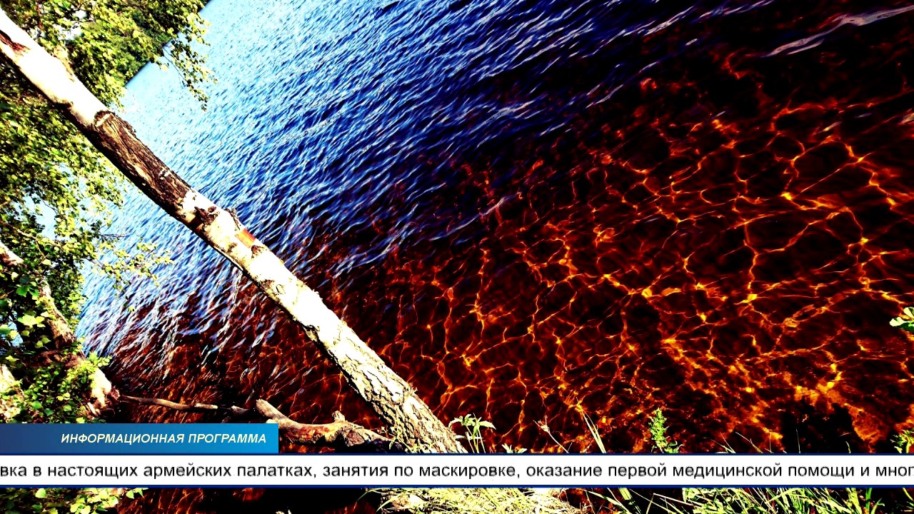 Информация, интересная тем, кто не боится лесных шорохов, порывов ветра ...